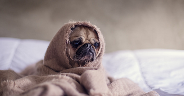 [Михаил Лабковский] Амбиции, прокрастинация, лень__0.png